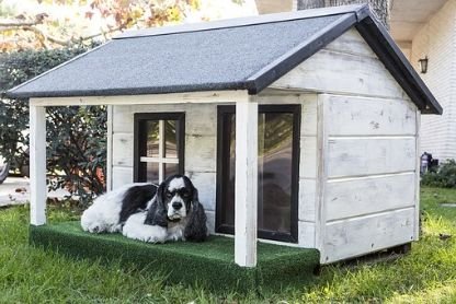 Dog outside his kennel