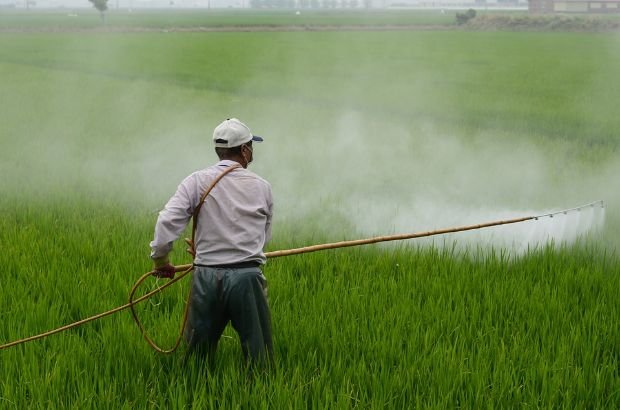 A farmer treating field with pesticide