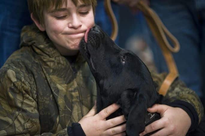 A dog licking a kids face