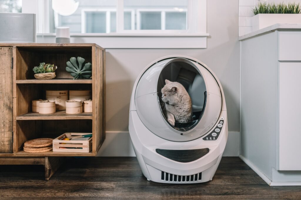 benefits of self-cleaning cat litter boxes
