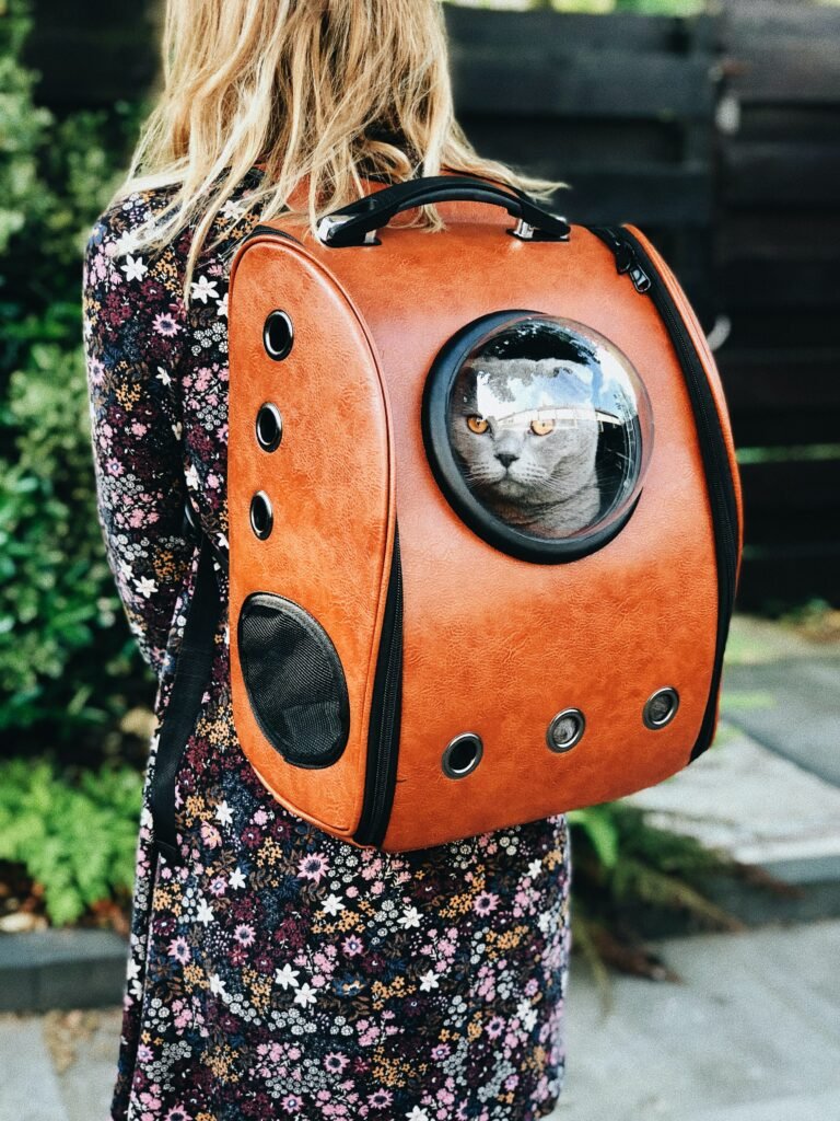 Carrying a cat in backpack