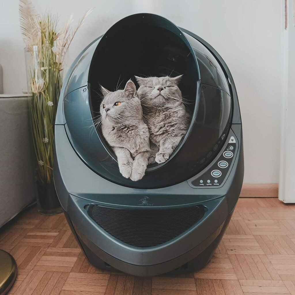 Automatic cat litter box