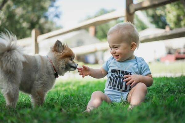 how kids should interact with dogs