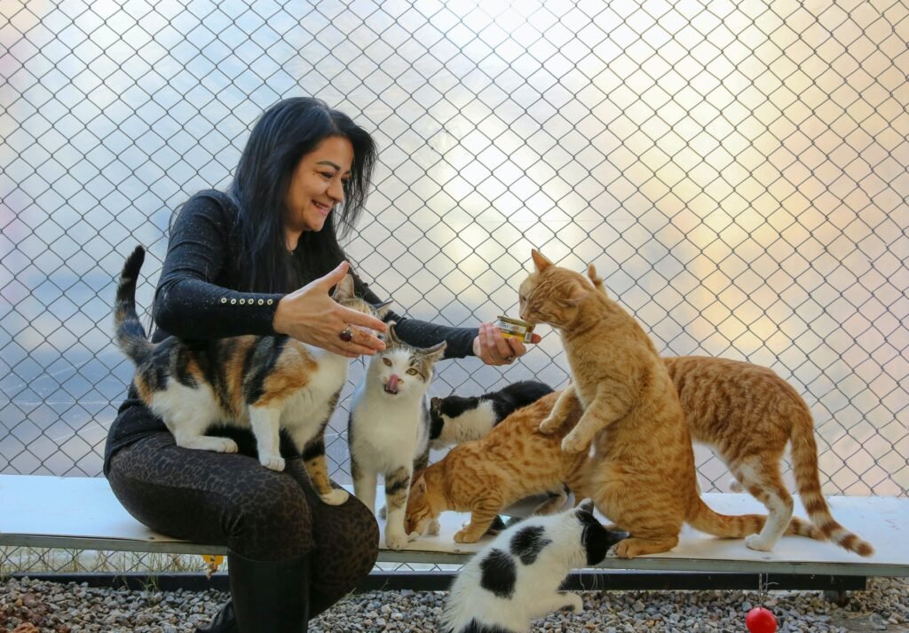 Pet parent with multiple cats