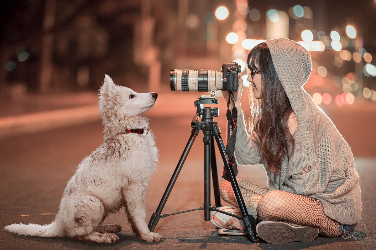 10 tips for improving dog photography