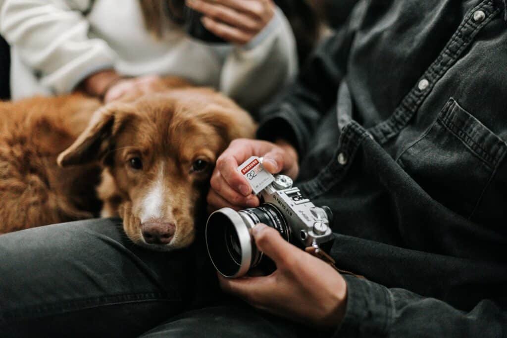 Holding a camera near the dog