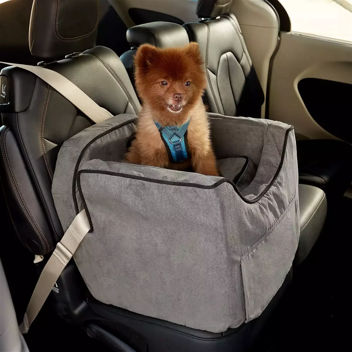 Snoozer Pet Products Luxury Lookout II Micro Suede Dog & Cat Car Seat