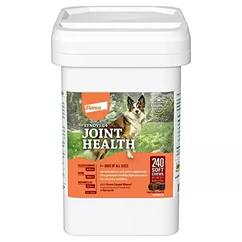 Synovi G4 Joint Health