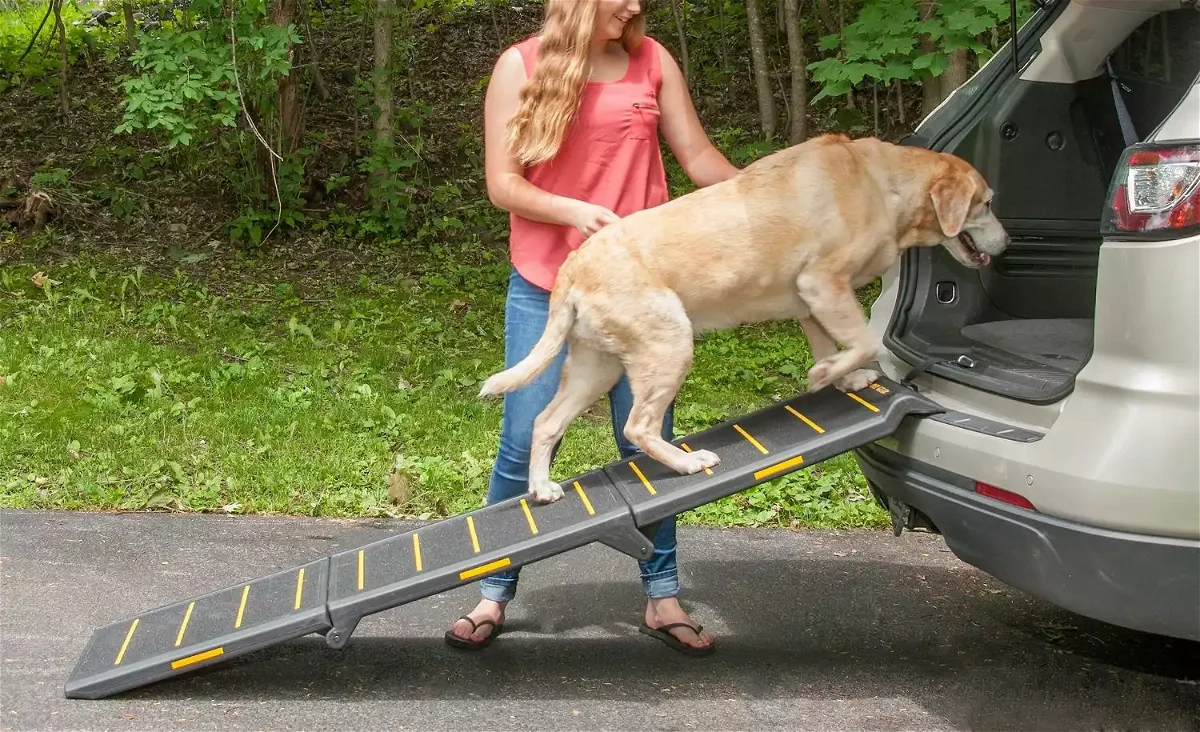 Pet Gear Reflective Tri-Fold Dog Car Ramp
