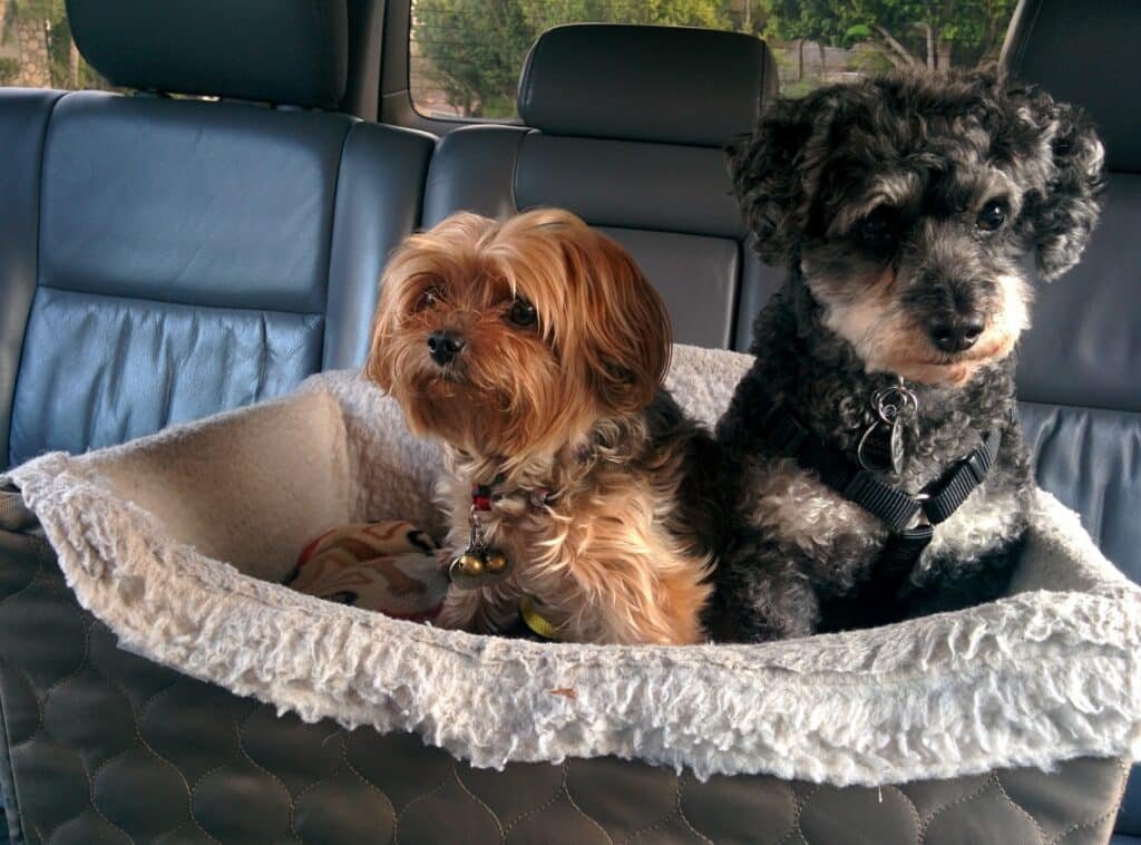 are dog car seats safe