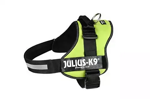 Julius-K9 Powerharness