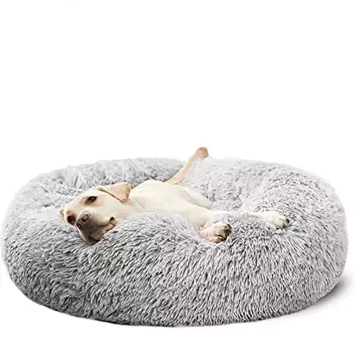 HACHIKITTY Dog Bed