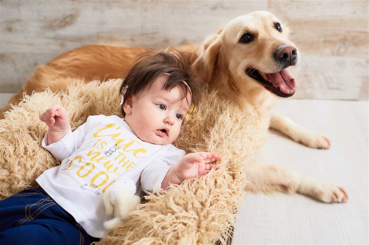 Are Golden Retrievers Good with Kids
