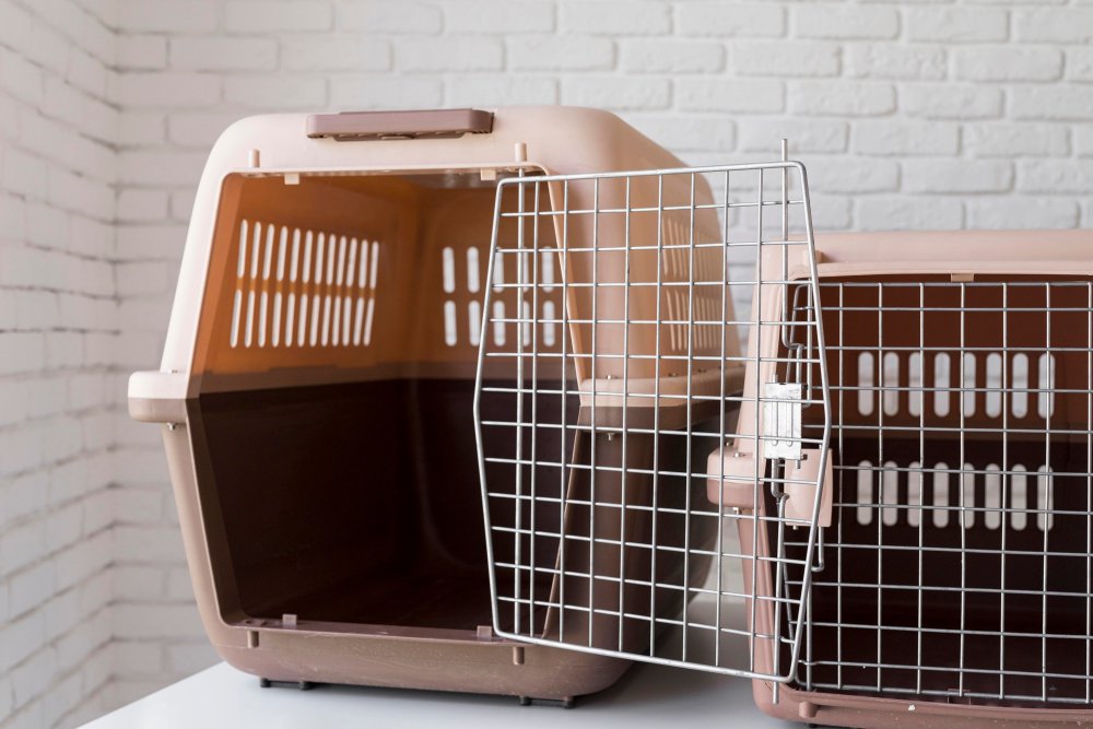 Best dog crates for Golden Retrievers