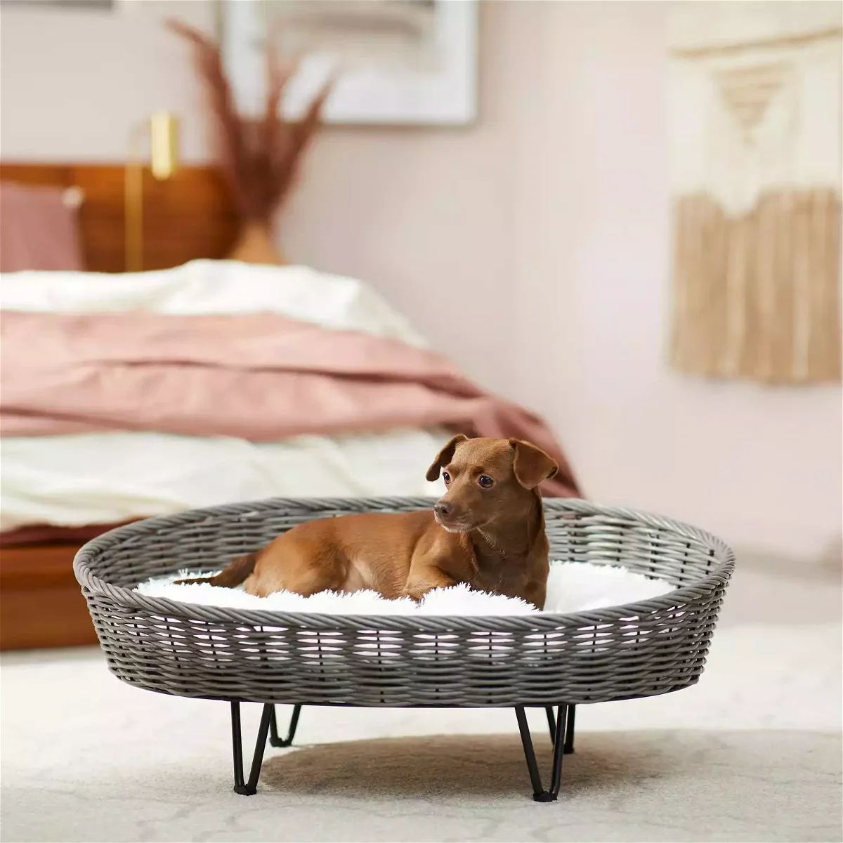 Frisco Elevated Rectangle Wicker Dog Bed