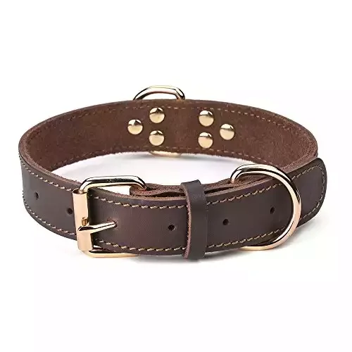 DAIHAQIKO Genuine Leather Dog Collar