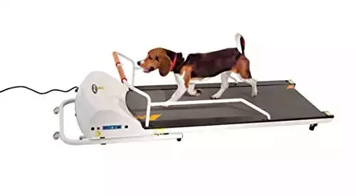 GoPet PetRun PR720F Dog Treadmill