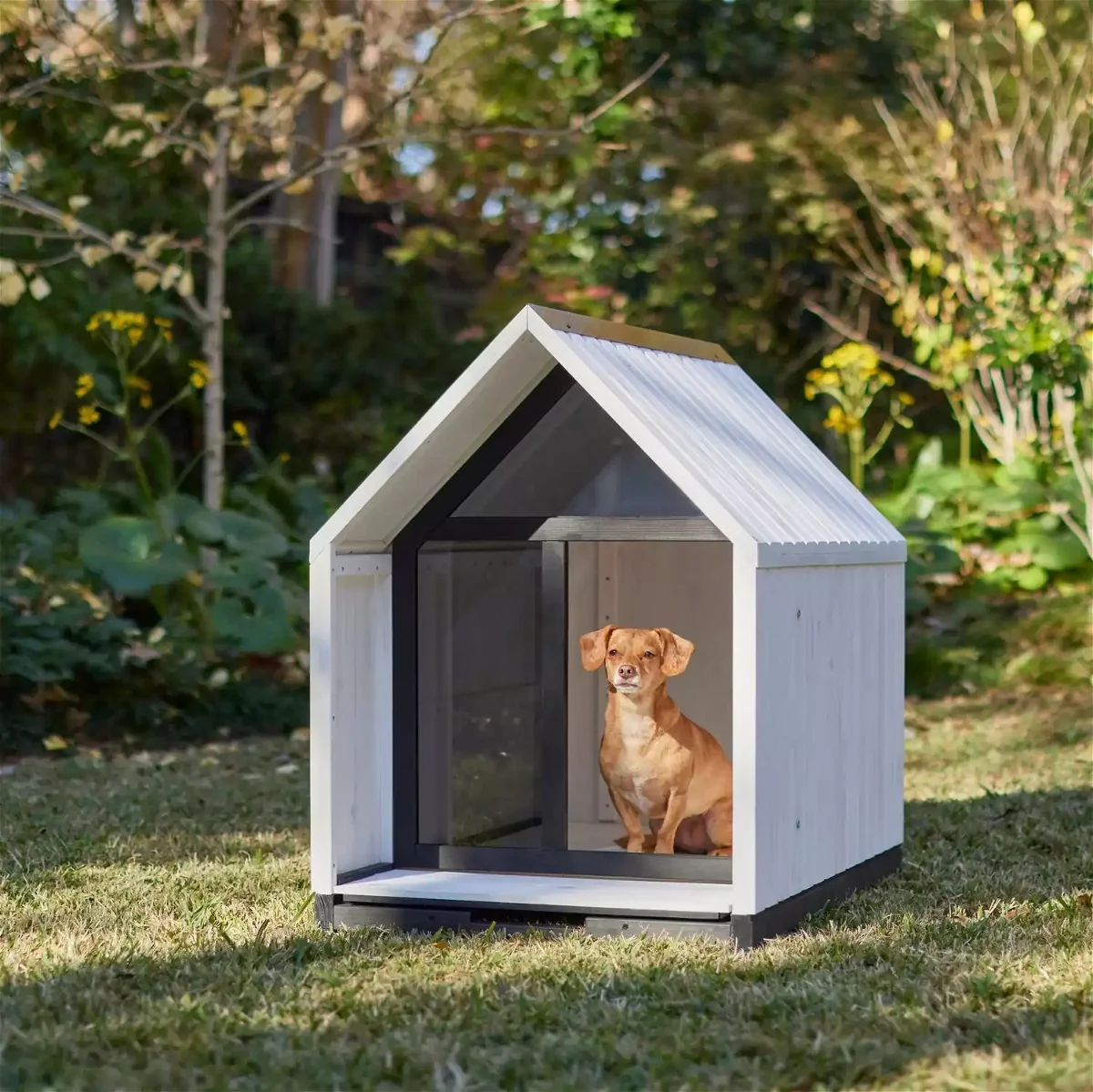 Frisco Classic Wooden Outdoor Dog House