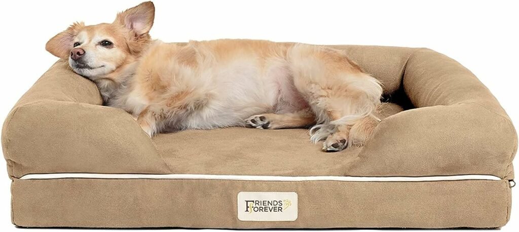 Friends Forever Orthopedic Dog Bed