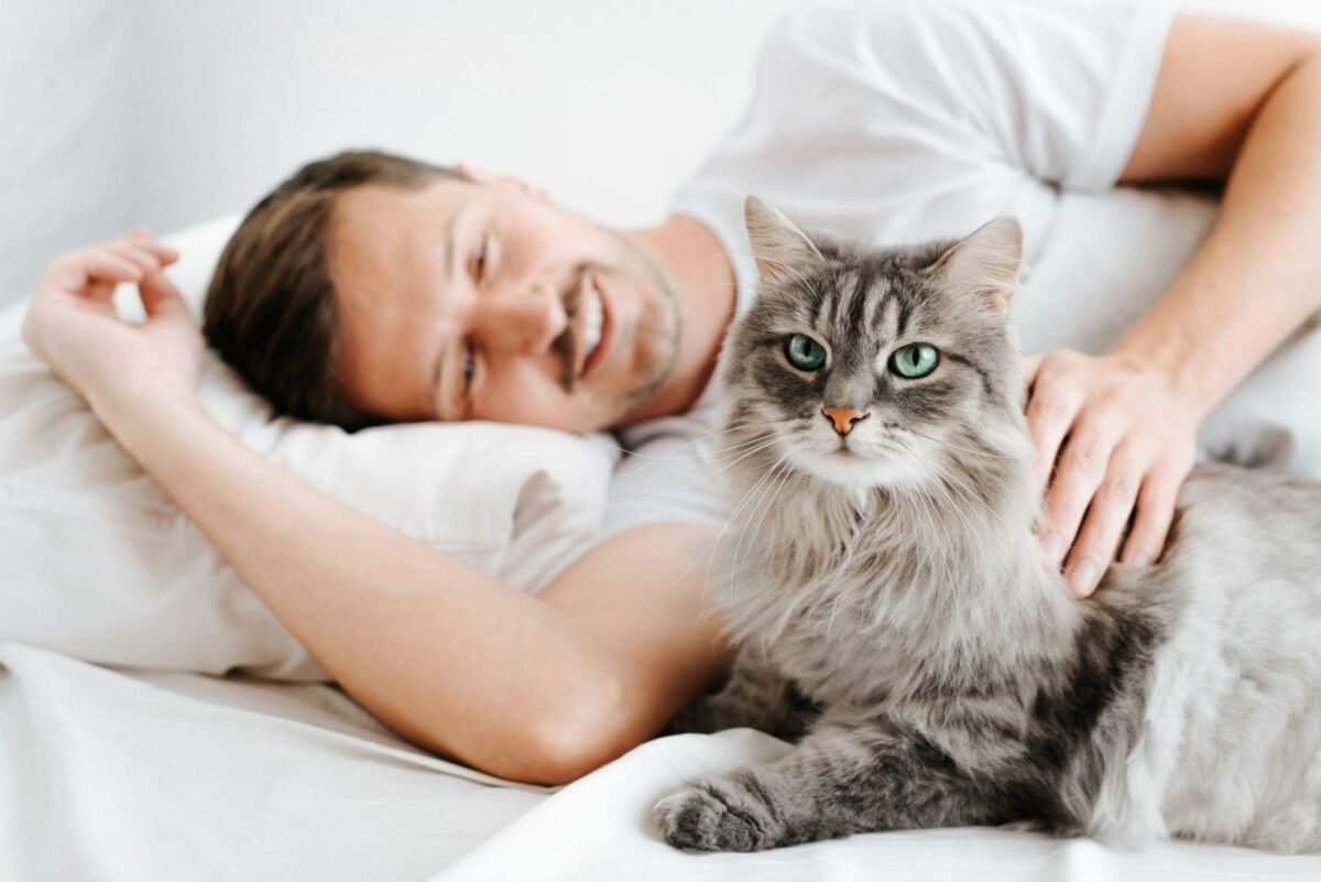 Cat sleeping next to owner