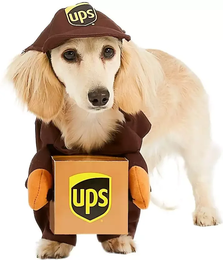California Costumes UPS Delivery Driver Dog & Cat Costume