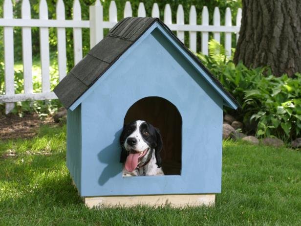 Simple ‘A-frame’ Dog House