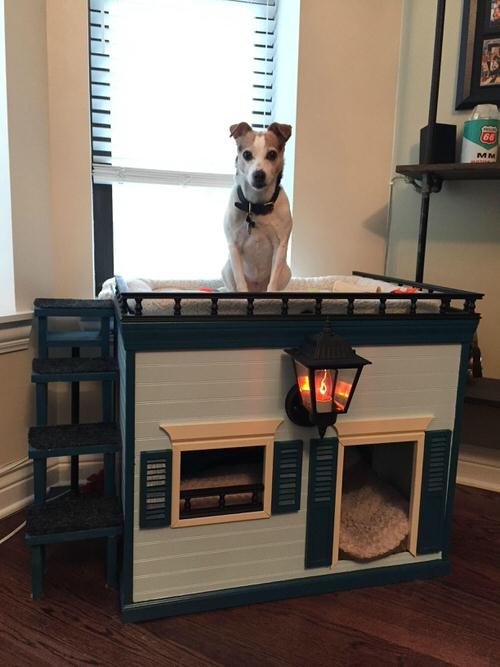 An Indoor Canine Mansion