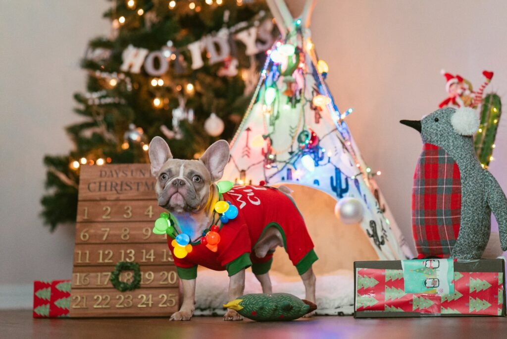 35 Dog Christmas Gifts Ideas