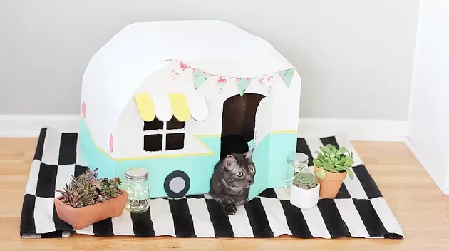 Kitty Camper from Cardboard boxes