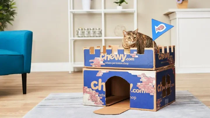 Chewy Box Cat House