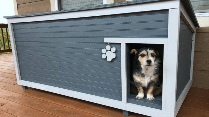 Custom Insulated Dog House Plan