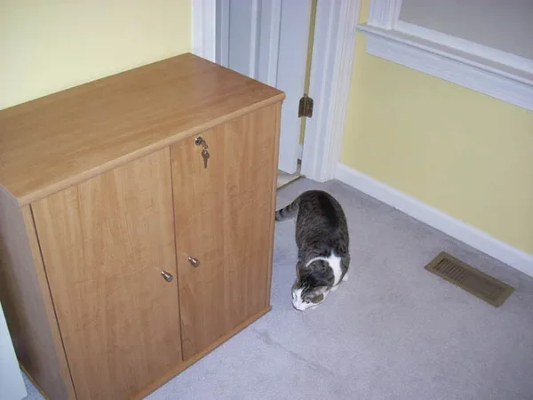 Two-door cabinet cat litter box