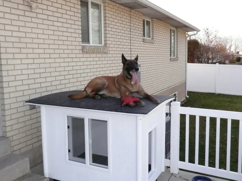 Knock-Down Dog House