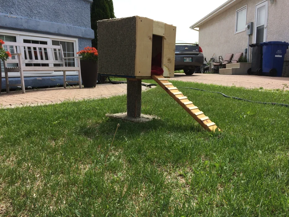 Outdoor Cat House with a Base