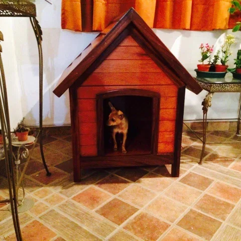 Cottage Style Dog House