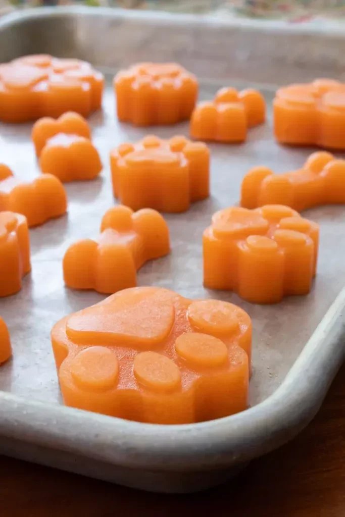 Frozen apple and carrots treat for dogs