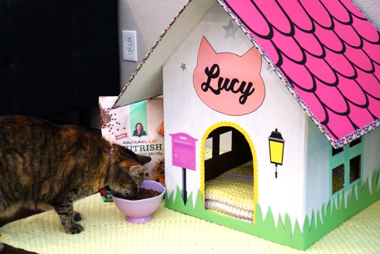 DIY Cardboard Cat Shelter