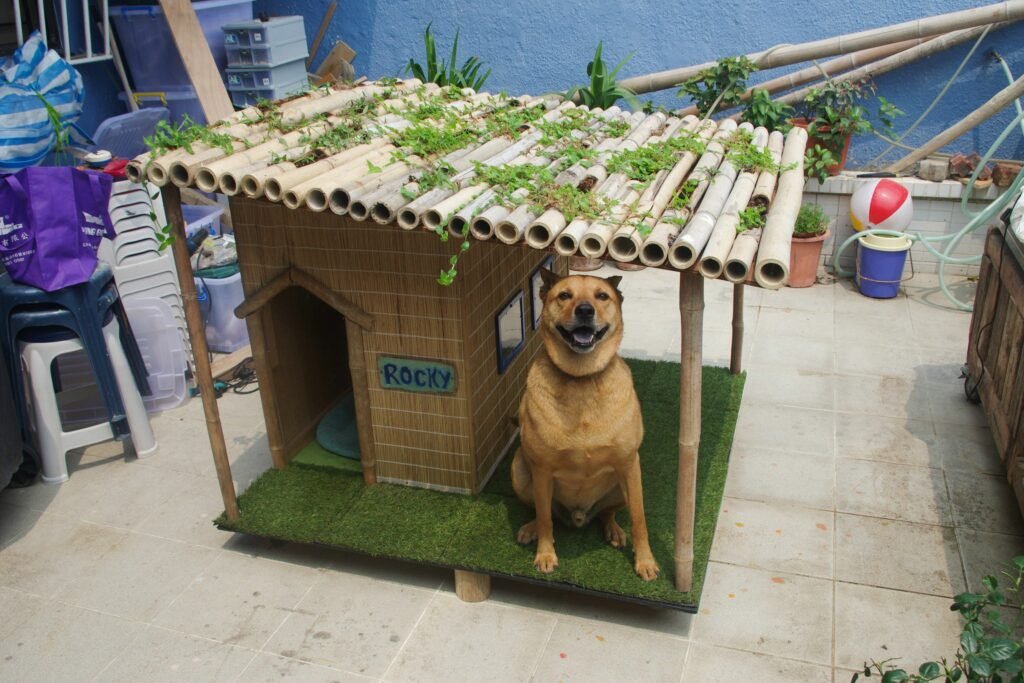 Tropical-inspired Dog House