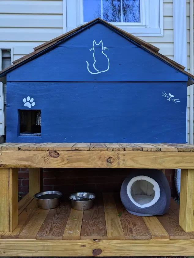 DIY Two-leveled Cat House