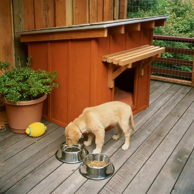 Dog House with a Ranch-Style