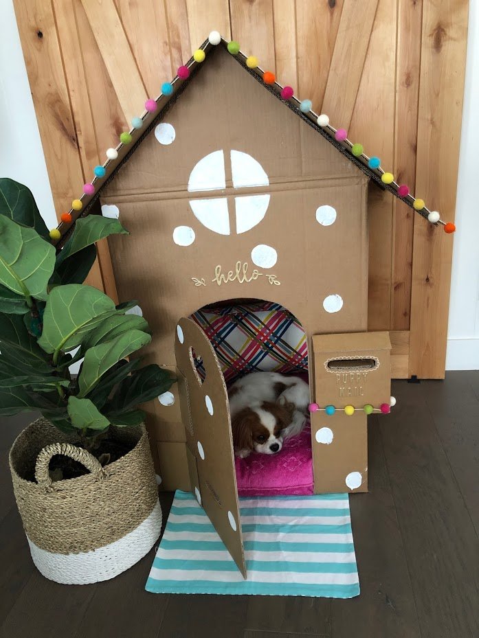 Dog Playhouse Made From A Box