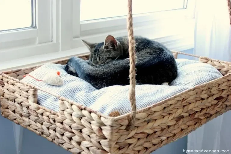 Basket Cat Perch
