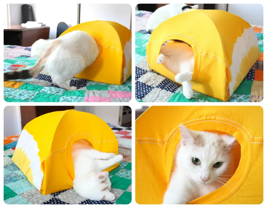 Homemade Cat Tent