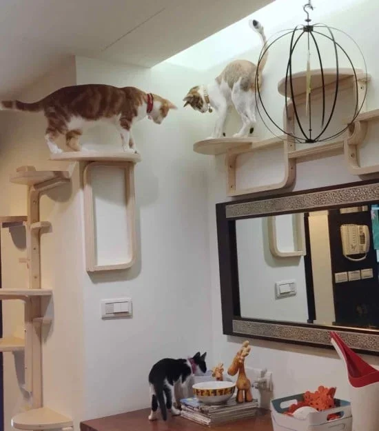 Wall-Mounted Cat Tree