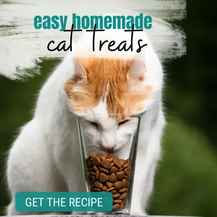 Delightful Homemade Cat Treats with Tuna