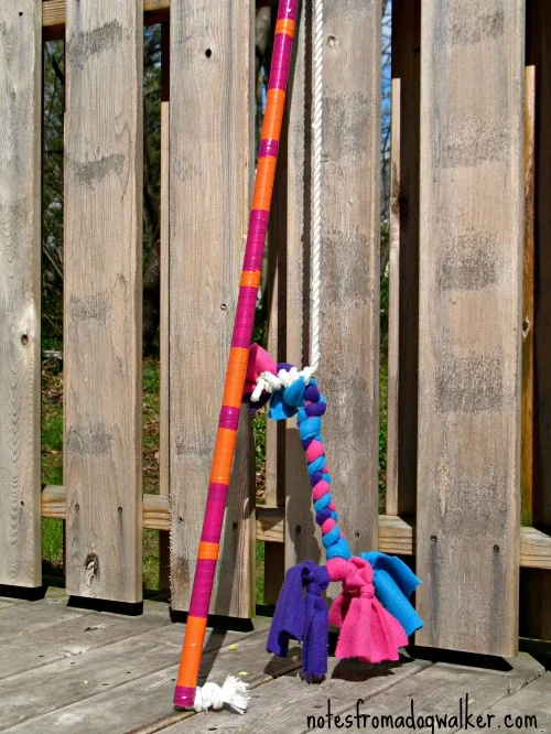 Flirt Pole Outside Dog Toy