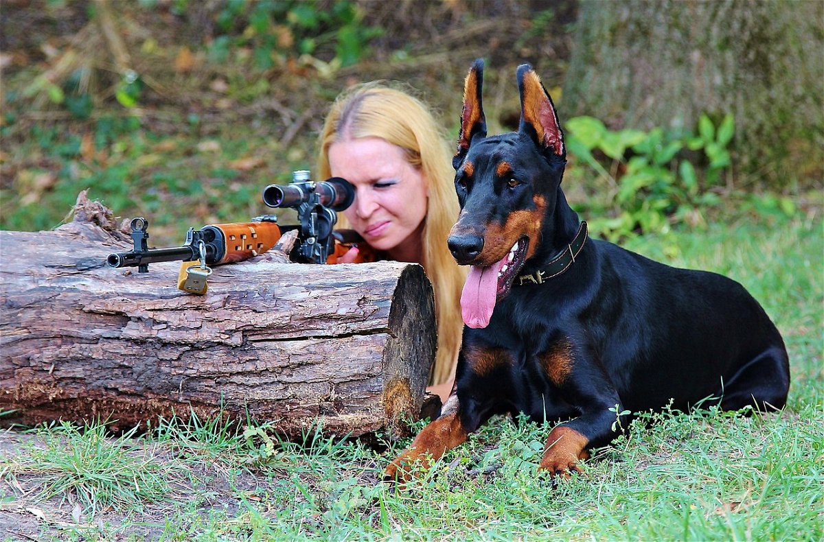 Are Doberman Pinschers Good Family Dogs