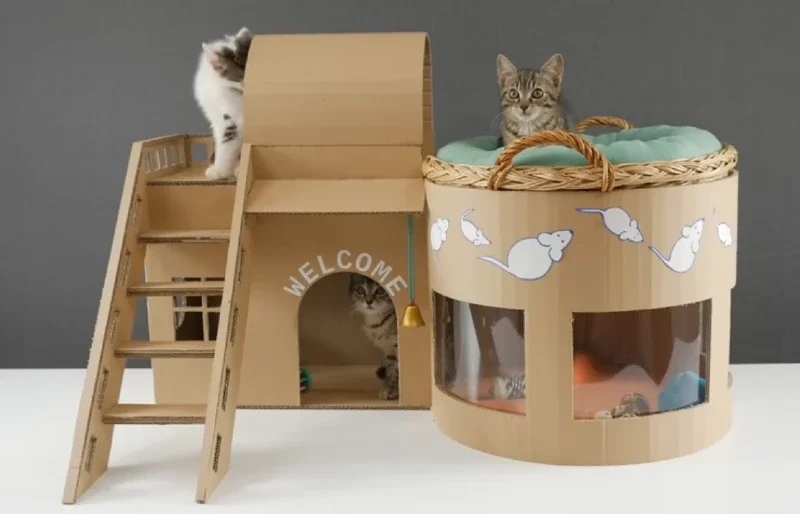 Amazing Kitten Cat Pet House from Cardboard