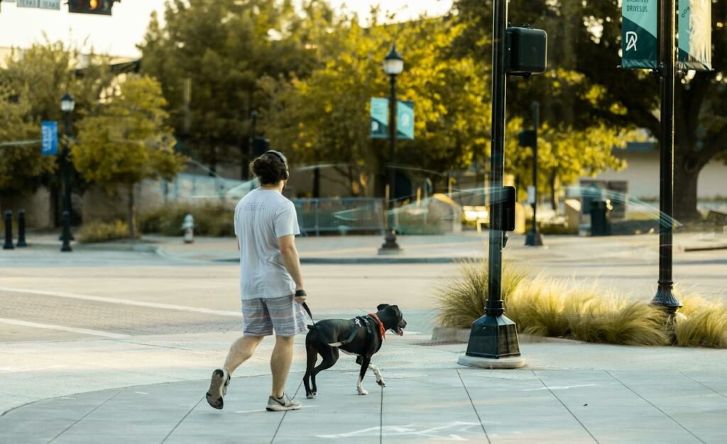 Dog-Walking Outfits for Men in Summer