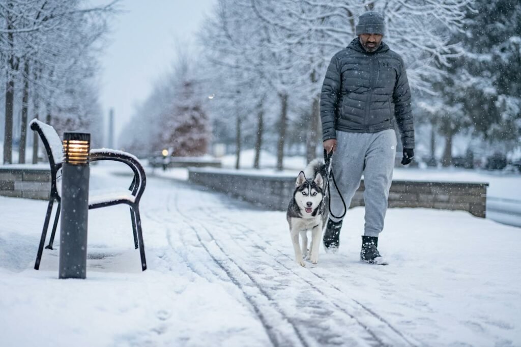 Dog-Walking Outfits for men in Winter